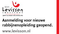 banner levisson