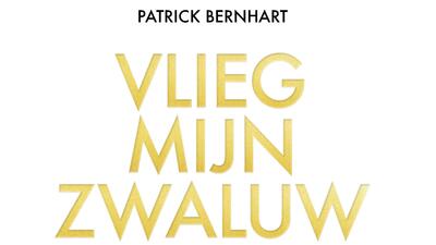 Cover: Boekrecensie: Patrick Bernhart - Vlieg, mijn zwaluw